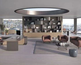 Кабинет руководителя Foster images