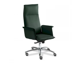 Кресло Epsilon Luxe A chrome images