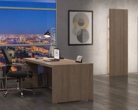 Кабинет руководителя Solid images