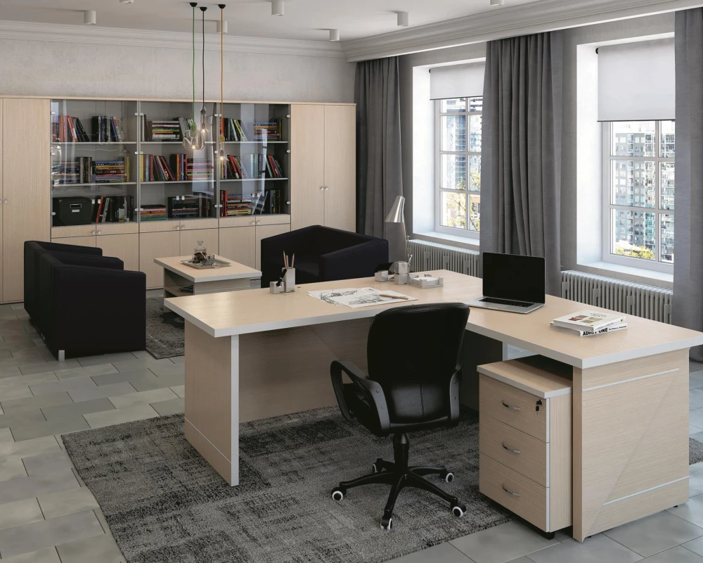 Кабинет руководителя Зум / Zoom