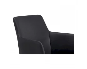 Кресло RV DESIGN Ivo (B2416) images