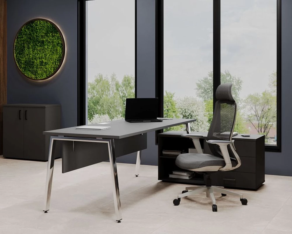 Кабинет руководителя Style Project Direct Lux