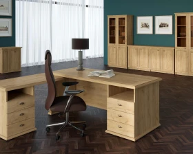 Кабинет руководителя Раут / Raut images